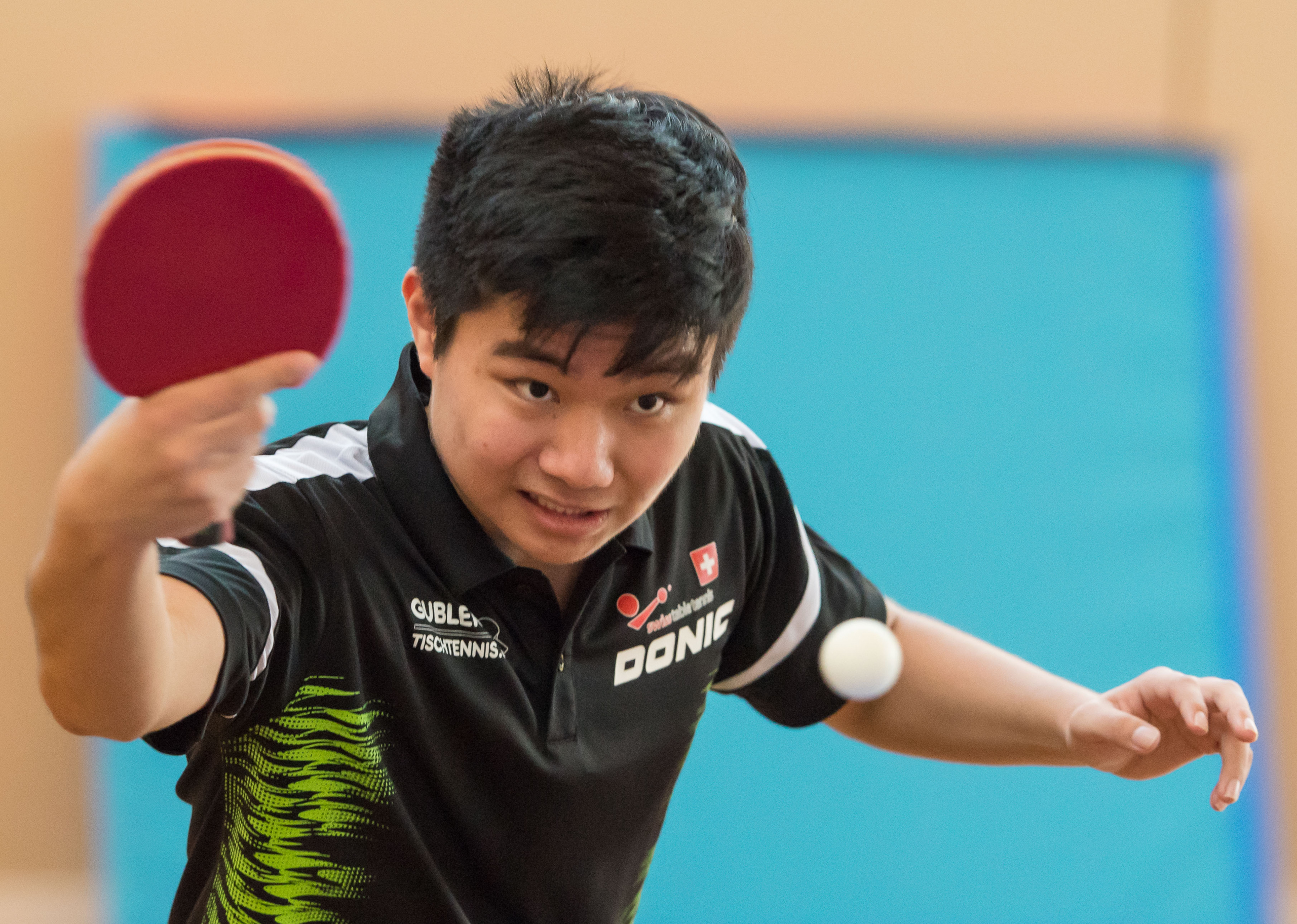 Oshiro STT 2019 1